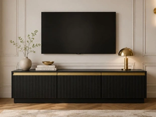 TV-Lowboard mit Türen Roland Schwarz